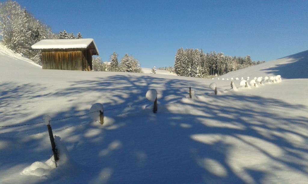 Apartamento Haus Hochwies *